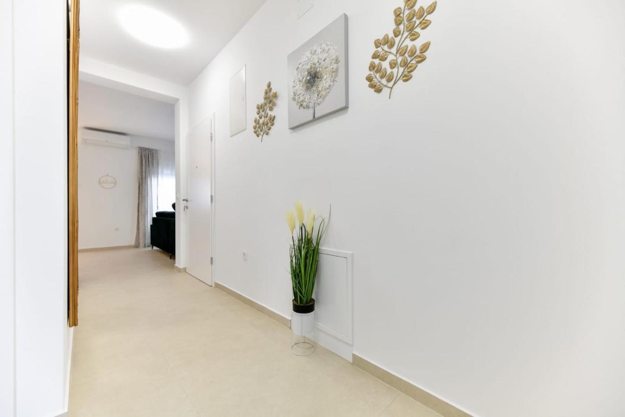 Family Apartment Amare زادار المظهر الخارجي الصورة
